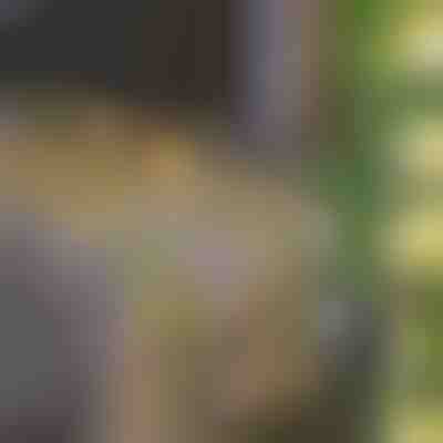 Instalație solară cu frunze artificiale (5m) | LEAFGLO