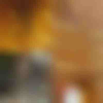 Instalație cu fulgi de zăpadă 1.8m | LEDFLAKES