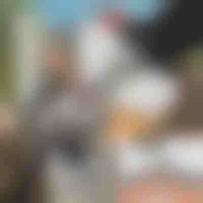 Unealtă specială de ascuțire a lanțului de drujbă + șlefuitor GRINNEX