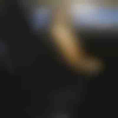 Husă căptușită pentru scaun auto | CUSHYRIDE