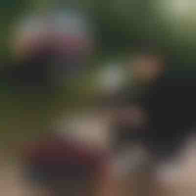 Geantă pliabilă pentru pescuit | RIBETINA