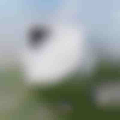 Curățare fără efort a ferestrelor | WINDOWSWIPE